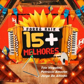 Forró Raiz 15 + (Live) album cover