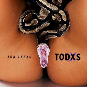 Todxs album cover