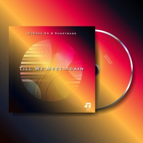 Till We Meet Again album cover
