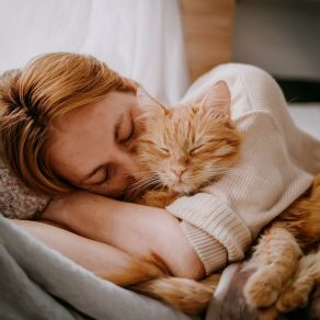 Canciones De Cuna Suaves Para Gatos En Noches De Descanso album cover