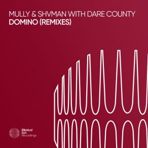 Domino (Remixes) album cover