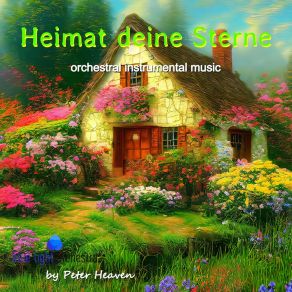 Heimat Deine Sterne (Orchestrale Instrumentalmusik) album cover