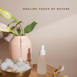 Healing Touch Of Nature album cover