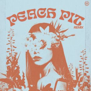 Peach Pit (The Remixes) album cover