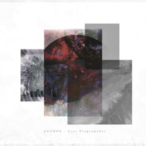 Ecos Programados album cover