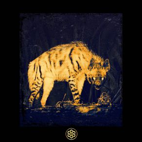 Circling The Drain album cover