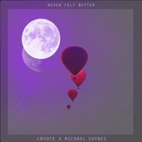 Never Felt Better (Maxi-Single) album cover