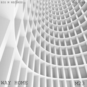 Way Home album cover