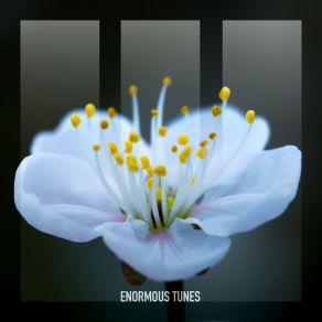 Nightingale album cover