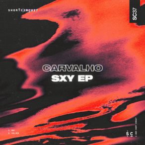 SXY album cover