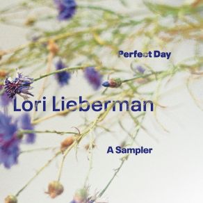 Perfect Day A Sampler album cover