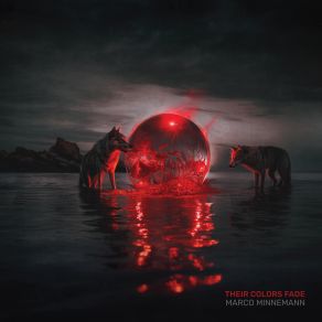 Their Colors Fade album cover
