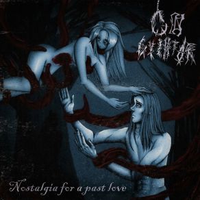Nostalgia For A Past Love album cover