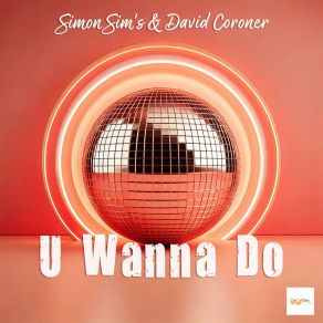 U Wanna Do album cover