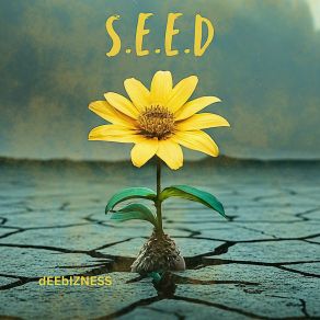 S. E. E. D album cover