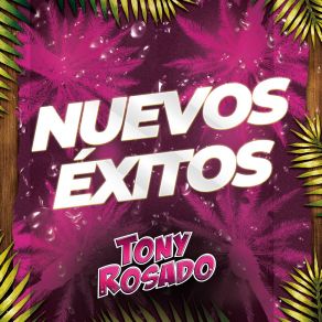 Nuevos Éxitos album cover