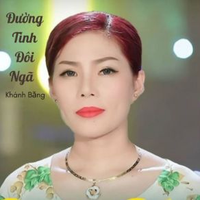 Đường Tình Đôi Ngã # 1 album cover
