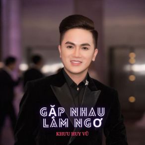 Gặp Nhau Làm Ngơ album cover