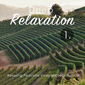 Deep Relaxation: Relaxing Peaceful Vineyard Soundscape album cover