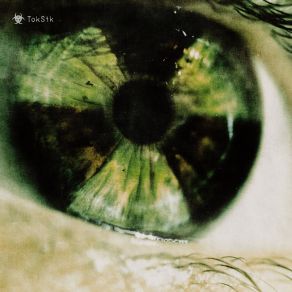 TokSik (Single) album cover