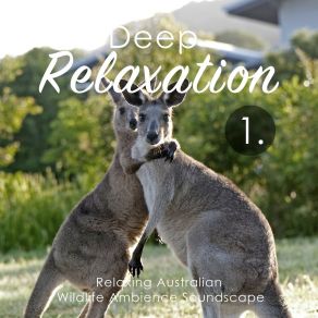 Deep Relaxation: Relaxing Australian Wildlife Ambience Soundscape album cover