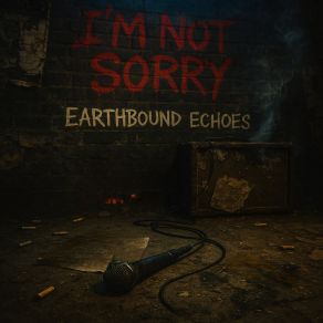 I'm Not Sorry album cover