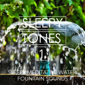 Sleepy Tones: Sleepy Meditative Water Fountain Sounds album cover
