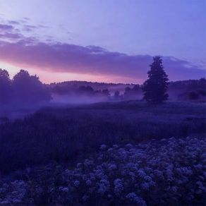 Ambience album cover