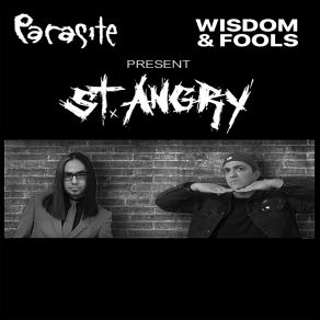 St. Angry (A Loving Tribute To Metallica's St. Anger) album cover