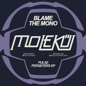 Pulse Persisters album cover
