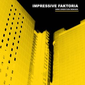 Omni Direktion (Remixes) album cover