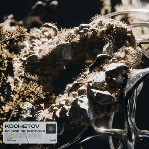 Eclipse Of Emotions album cover