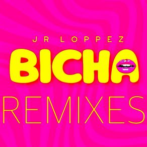 Bicha Remixes album cover