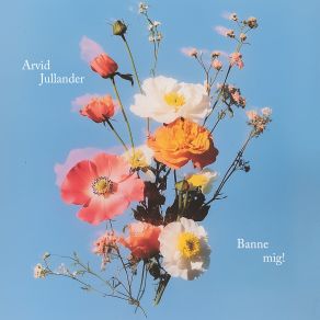 Banne Mig! album cover