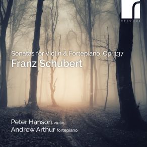 Schubert: Sonatas For Violin & Fortepiano album cover