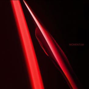 Momentum album cover