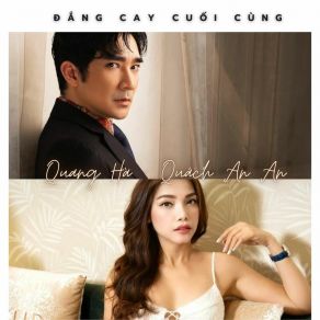 Đắng Cay Cuối Cùng album cover