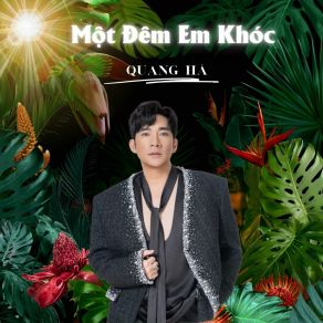 Một Đêm Em Khóc album cover