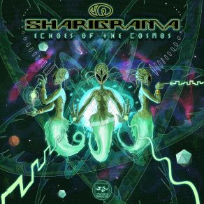 Echoes Of The Cosmos album cover