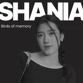 Birds Of Memory album cover