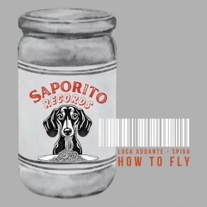 How To Fly album cover