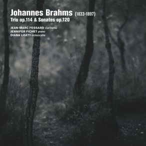 Brahms: Trio Op. 114, Sonates Op. 120 album cover