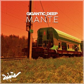 M. A. N. T. E album cover