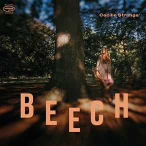 Beech album cover