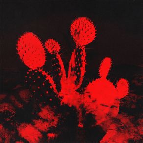 Melt'd (Deluxe Edition) album cover