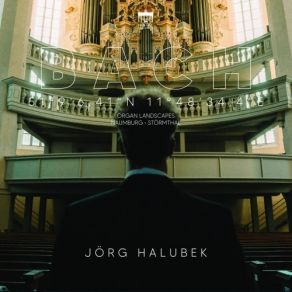 Jörg Halubek - Bach Organ Landscapes IX - Naumburg album cover
