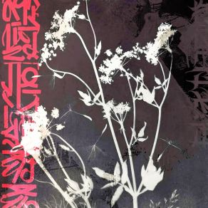 Emanant album cover