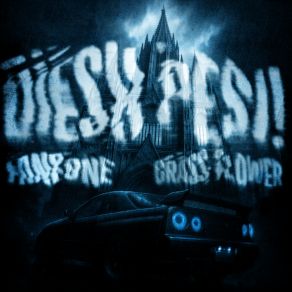 DIESH PESI! album cover