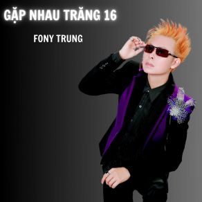 Gặp Nhau Trăng, Pt. 16 album cover