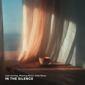 In The Silence album cover